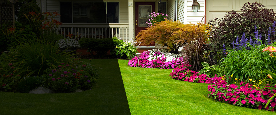 Clairton Landscapers