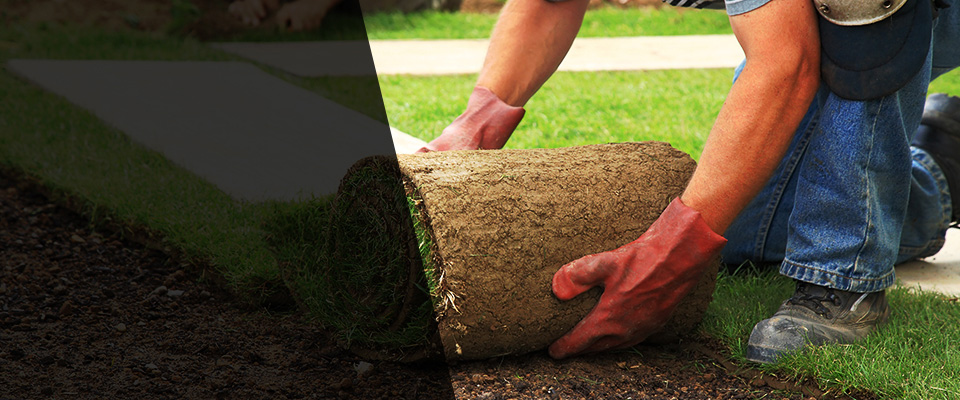 Clairton Landscapers